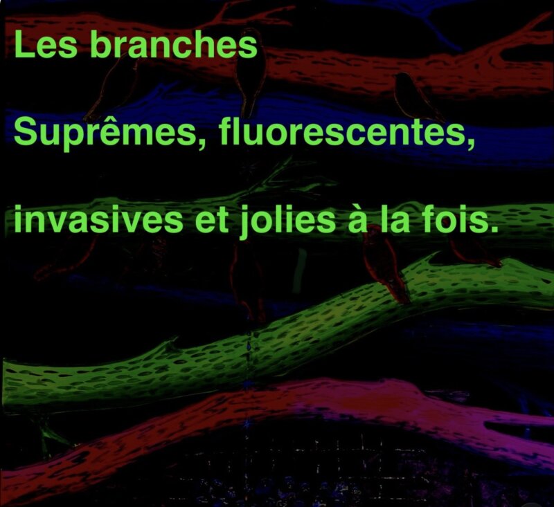 Les branches - Dediex